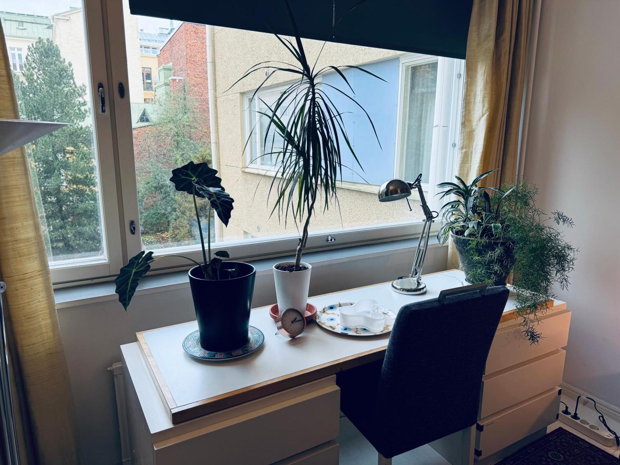 Lovely Apartment, Vuorimiehenkatu 31 Helsinki Buitenkant foto