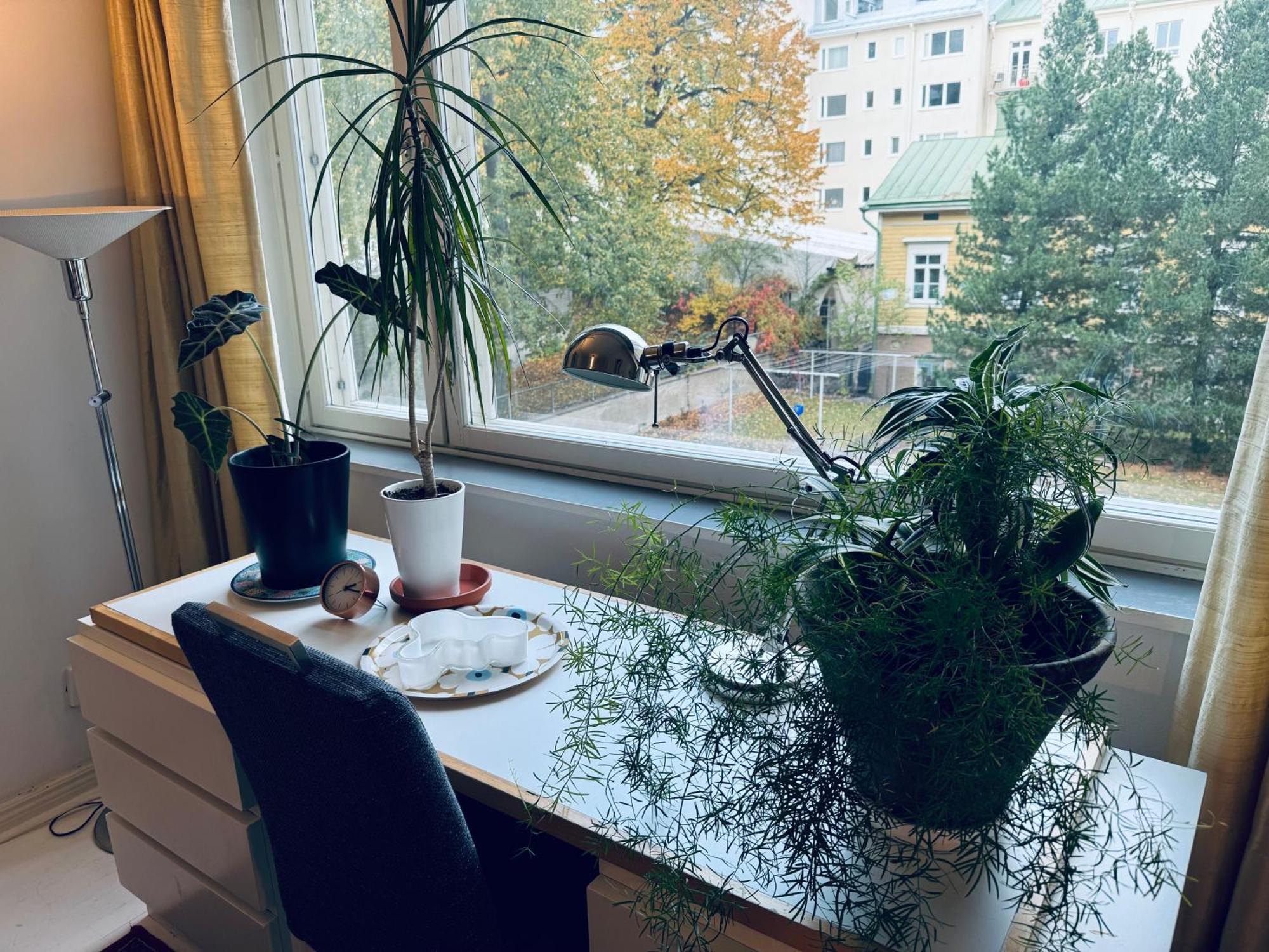 Lovely Apartment, Vuorimiehenkatu 31 Helsinki Buitenkant foto